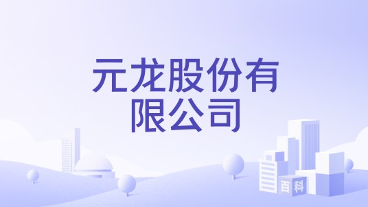 元龙股份有限公司