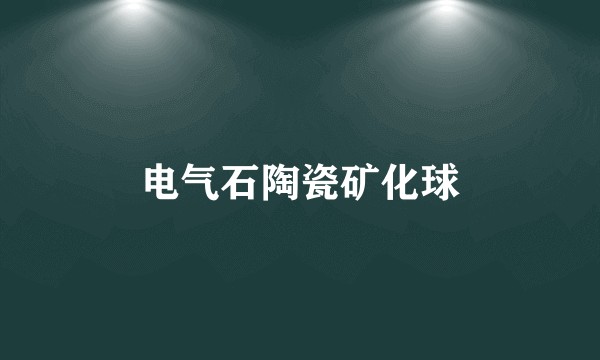 电气石陶瓷矿化球
