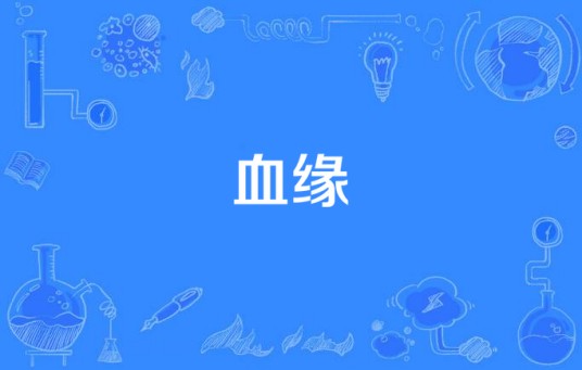 血缘（2006年国产电视剧）