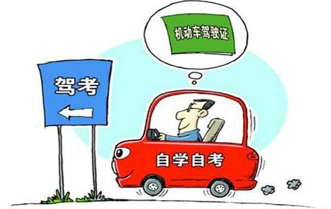 自学直考