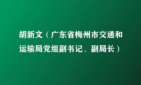 胡新文（广东省梅州市交通和运输局党组副书记、副局长）