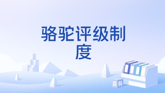 骆驼评级制度