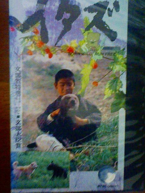 熊（1987年后藤俊夫导演的日本电影）