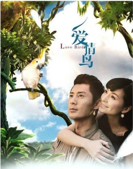 爱情鸟（2013年覃桢演唱的歌曲）