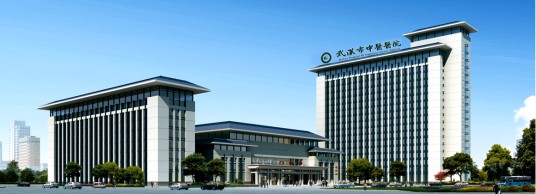 武汉市中医医院