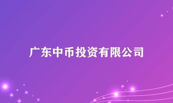 广东中币投资有限公司