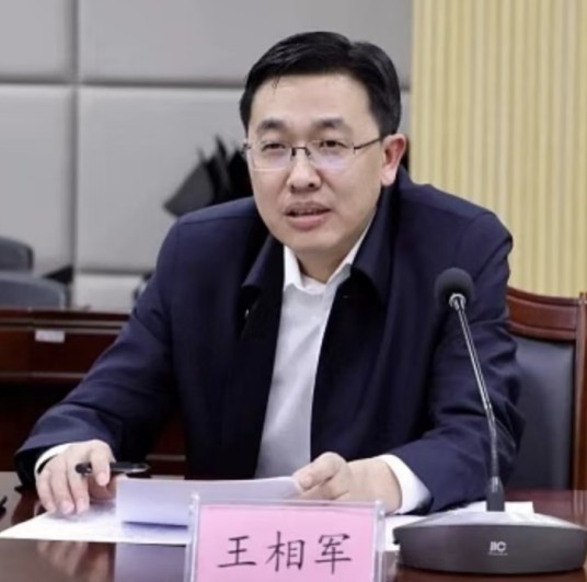 王相军（广西融资担保集团有限公司董事长兼总经理、法定代表人）