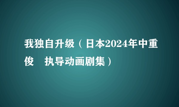 我独自升级（日本2024年中重俊祐执导动画剧集）