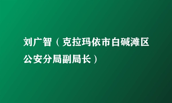 刘广智（克拉玛依市白碱滩区公安分局副局长）