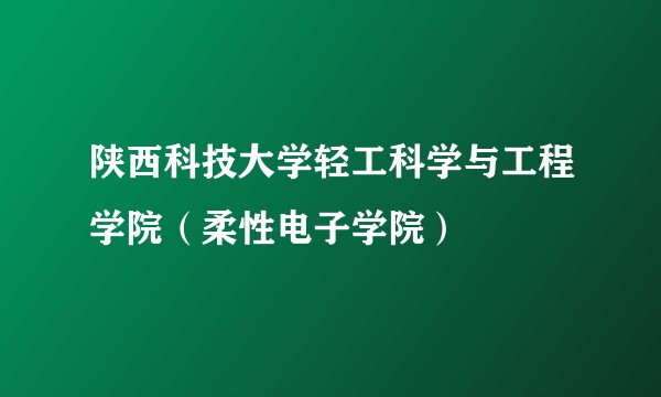 陕西科技大学轻工科学与工程学院（柔性电子学院）