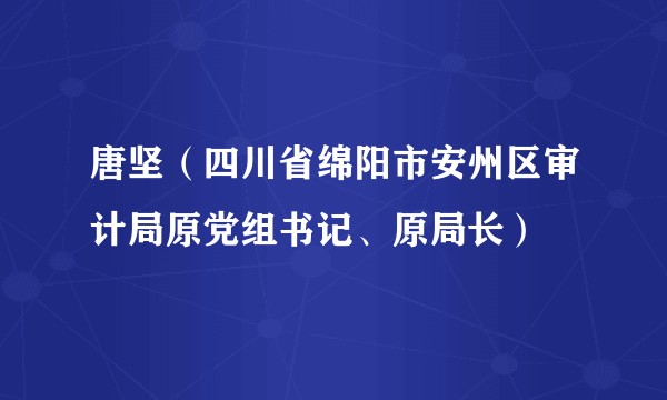 唐坚（四川省绵阳市安州区审计局原党组书记、原局长）