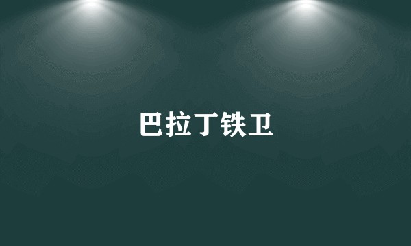 巴拉丁铁卫