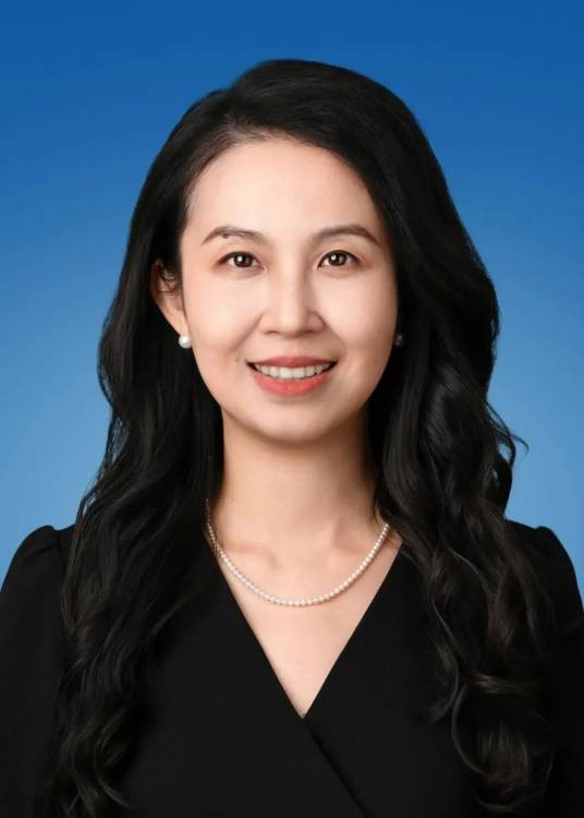 周婷（上海大学微电子学院教授）