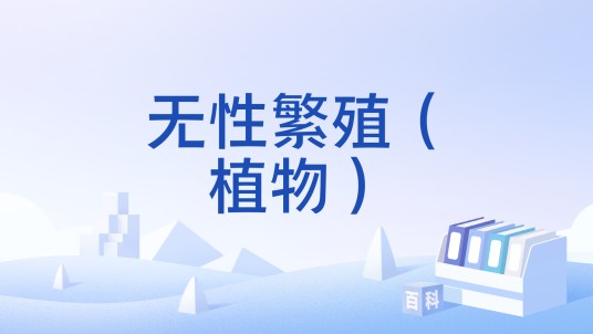 无性繁殖（植物）