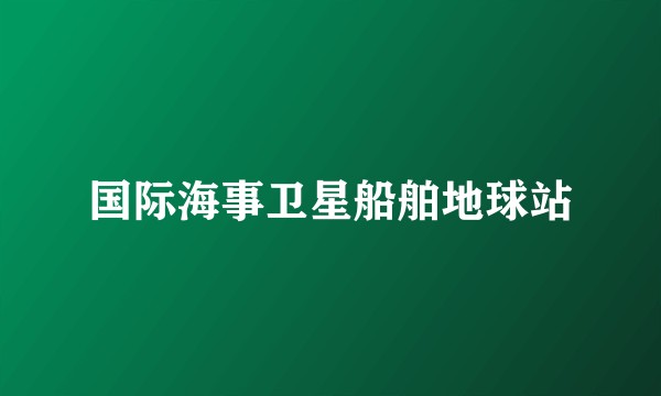 国际海事卫星船舶地球站