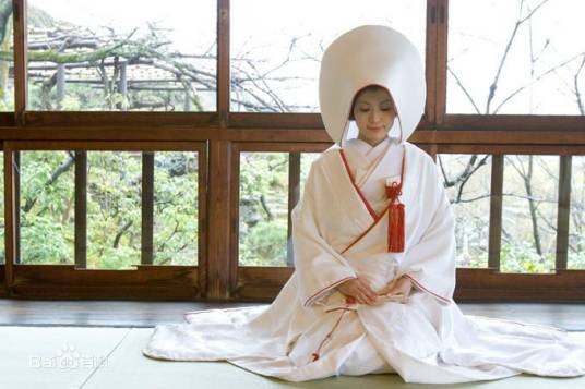 大和抚子（日本文化中对于理想中的优秀女性的一种美称）