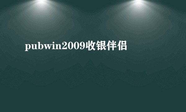 pubwin2009收银伴侣