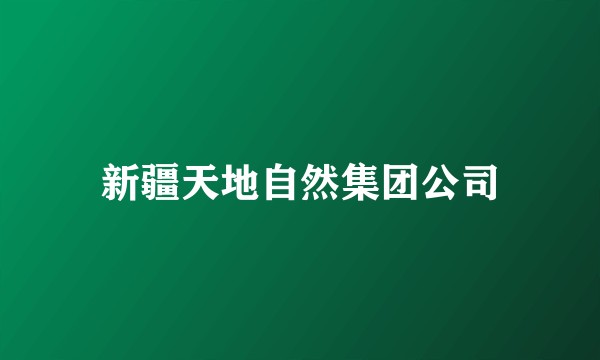 新疆天地自然集团公司