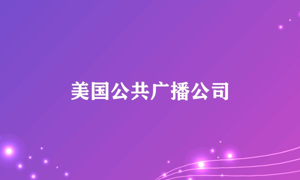 美国公共广播公司