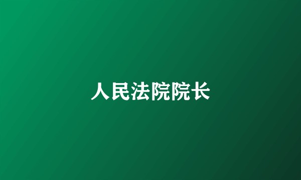 人民法院院长
