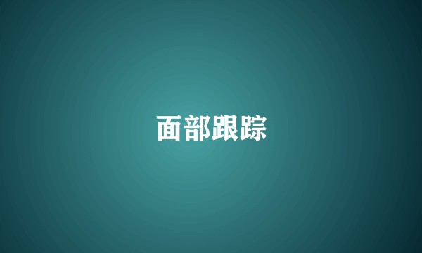 面部跟踪