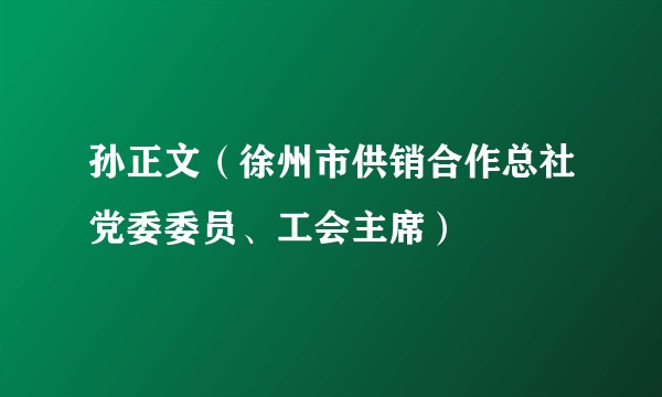 孙正文（徐州市供销合作总社党委委员、工会主席）