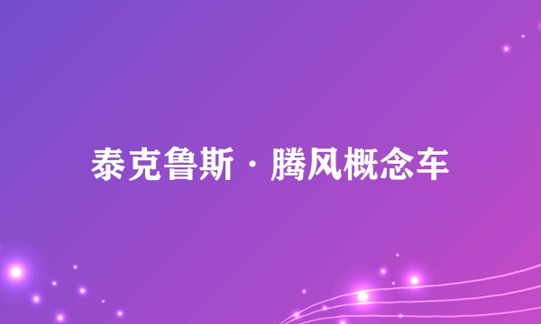 泰克鲁斯·腾风概念车