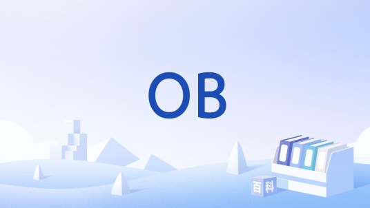 OB（计算机术语）