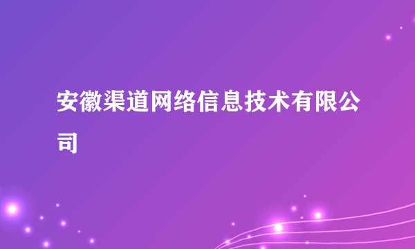 安徽渠道网络信息技术有限公司
