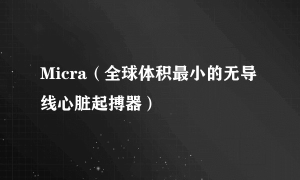 Micra（全球体积最小的无导线心脏起搏器）