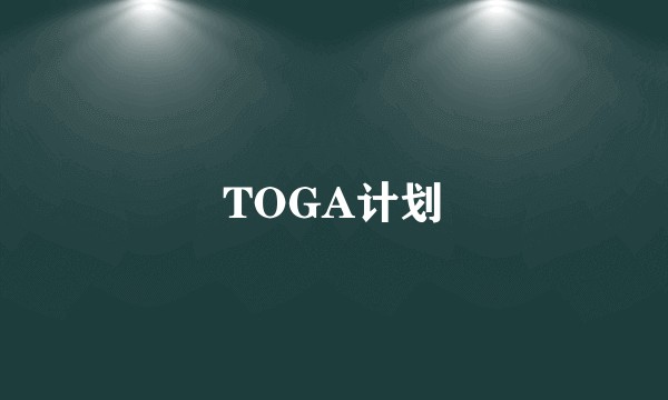TOGA计划