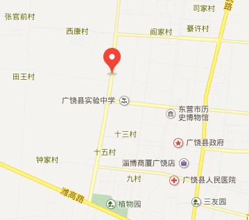 西王村（山东省东营市广饶县乐安街道下辖村）