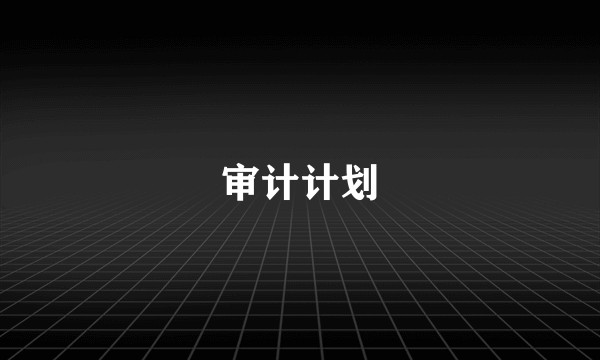 审计计划