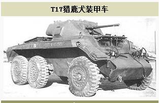 T17猎鹿犬