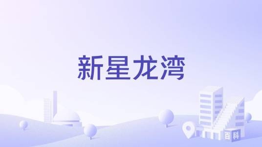 新星龙湾