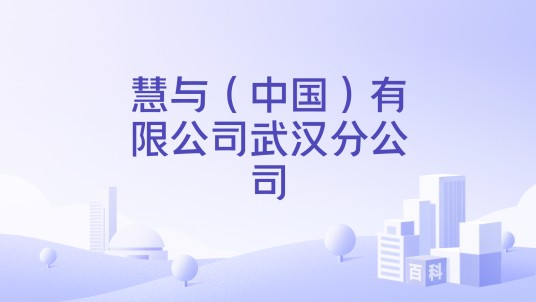 慧与（中国）有限公司武汉分公司