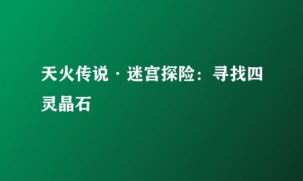 天火传说·迷宫探险：寻找四灵晶石