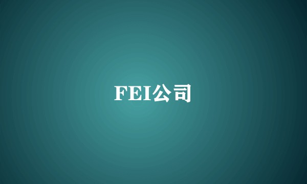 FEI公司