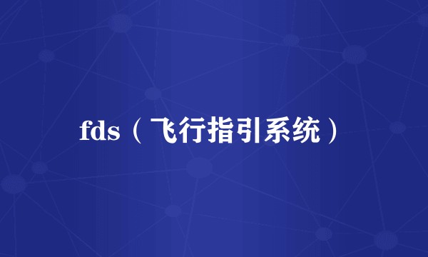 fds（飞行指引系统）