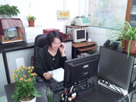王秀芬（北京化工大学教授）