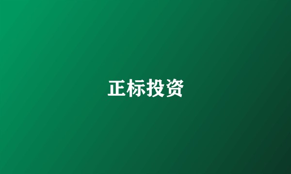 正标投资