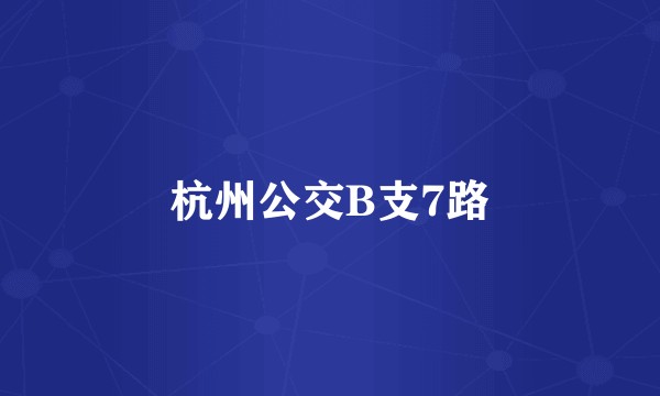 杭州公交B支7路