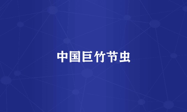 中国巨竹节虫