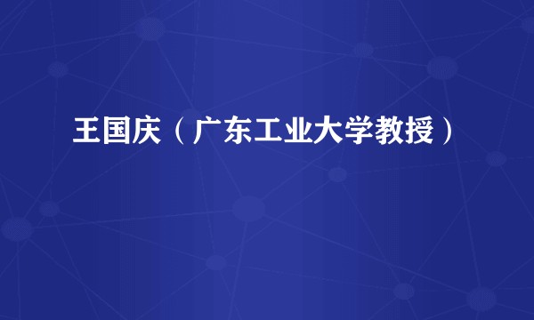 王国庆(广东工业大学教授)