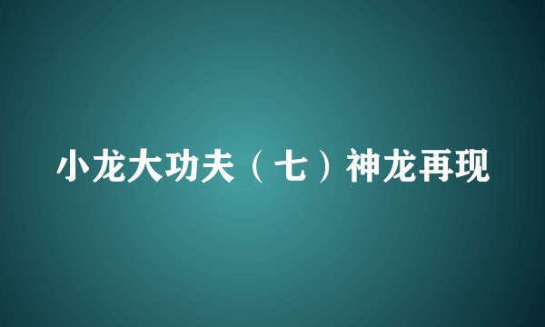 小龙大功夫（七）神龙再现