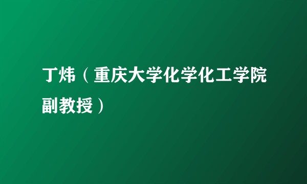 丁炜（重庆大学化学化工学院副教授）