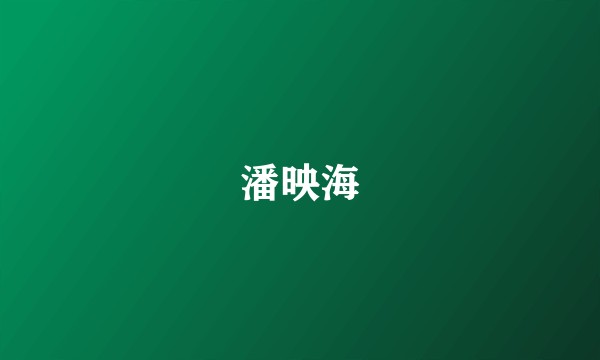 潘映海