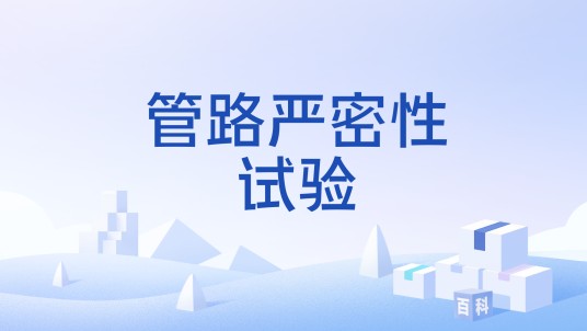 管路严密性试验