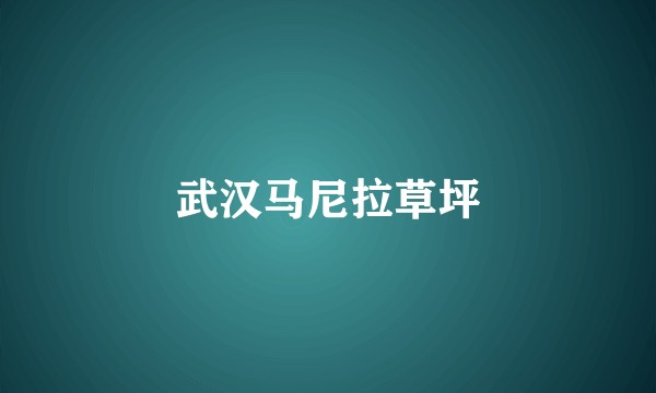 武汉马尼拉草坪