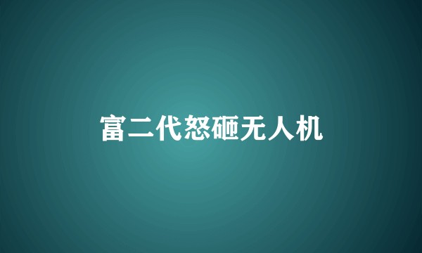 富二代怒砸无人机